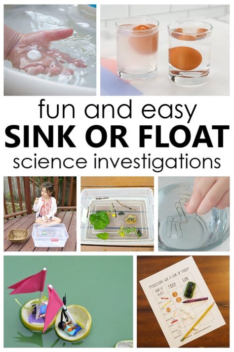 Discovery Activities, Science Activities For Toddlers, Pre-k Science, Preschool Room, Water Experiments, Montessori Science, Science For Toddlers, Sink Or Float, Preschool Science Activities