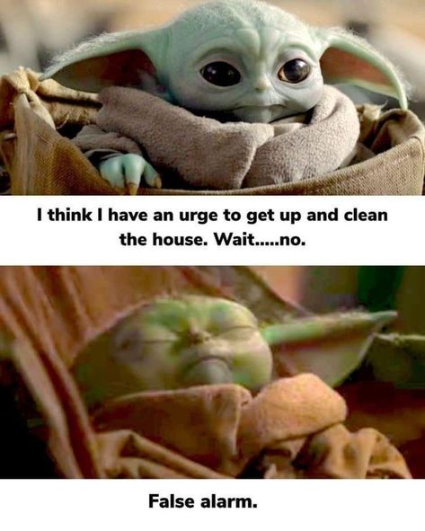 Yoda Quotes, Yoda Images, Yoda Meme, Yoda Funny, Star Wars Baby, Silly Jokes, Funny As Hell, Sarcastic Quotes, Funny Clips