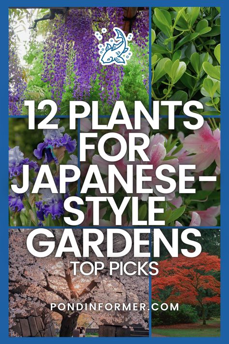 Elevate your Japanese-style garden with our top 12 plant picks! From the graceful elegance of Japanese maple trees to the delicate beauty of cherry blossoms, these selections capture the essence of traditional Japanese landscaping.  #JapaneseGardens #ZenGardening #Japanese #ZenGarden #GardenDesign #JapanesePlants #AsianInspiredGardens #GardenInspiration #JapaneseFlora #MinimalistGardening #SereneLandscapes #Garden #Gardening #GardenIdeas #PondInformer Plants For Japanese Garden Landscaping, Japanese Maple Garden Design, Japanese Front Garden, Japanese Garden Flowers, Japanese Trees Landscape, Japanese Landscaping Ideas, Japanese Style Garden Ideas, Japanese Garden Trees, Japanese Plants Outdoor