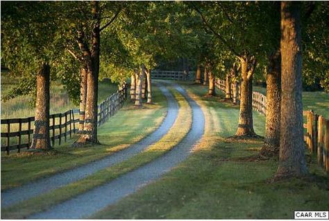 tree-lined drive Rustic Clothing, Driveway Entrance Landscaping, Farm Entrance, Rustic Fashion, Rustic Fireplace, Rustic Mirror, Rustic Photography, Tree Lined Driveway, Rustic Apartment