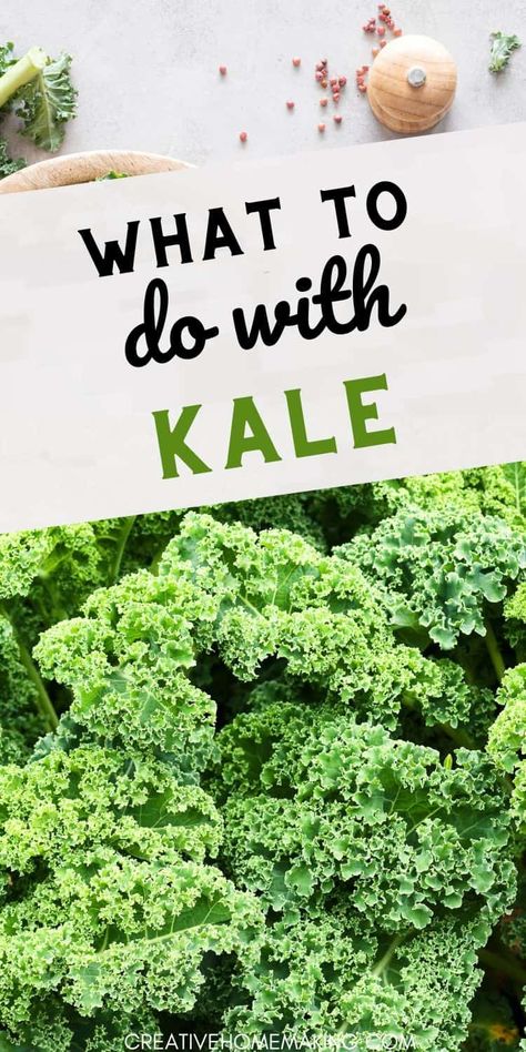 Looking for ways to enjoy kale? Check out our favorite recipes and creative ideas! From hearty soups and flavorful pestos to crispy kale chips, there’s no shortage of delicious options. Perfect for adding nutrition and flavor to your dishes! Dive into the world of kale and get inspired! Green Kale Recipes, Best Way To Cook Kale, Ways To Eat Kale, Ways To Cook Kale, Kale Keto Recipes, Recipes For Kale Greens, Kale And Spinach Recipes, Kale Soup Recipes Healthy, Preserving Kale