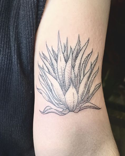 Agave Tattoo, Plants Tattoo, Delicate Tattoo, Agave Plant, Dot Work Tattoo, Fine Line Tattoos, Armband Tattoo, Tattoo Ideas Design, Angel Tattoo Men