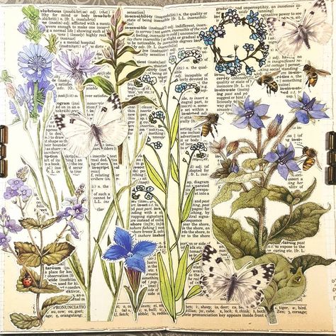 Constance Rose, Botanical Sketchbook, Gcse Art Sketchbook, Nature Sketch, Illustration Botanique, Glue Book, 수채화 그림, Gcse Art, Sketchbook Pages