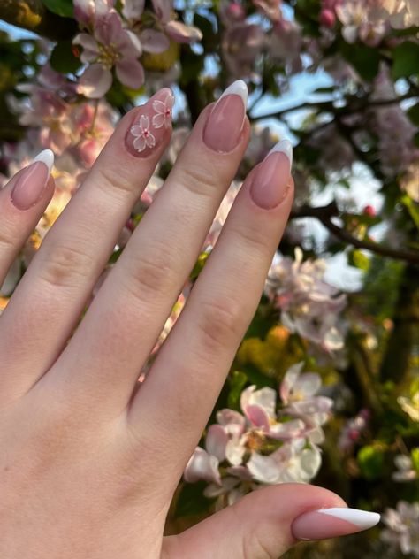 Cherry Blossom Nails French Tip, Japanese Cherry Blossom Nails, Burgendy Nails, French Floral Design, Cherry Blossom Nails Art, Deep Red Nails, Cherry Blossom Nails, Beauty Nails Design, Nails Now