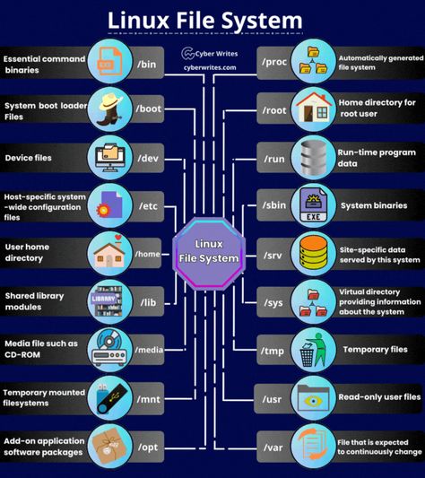 Linux File System, Linux Aesthetic, Server Hacks, Linux Shell, Computer Science Programming, Basic Computer Programming, File System, Computer Literacy, Basic Computer