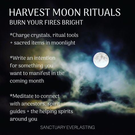 Three easy full moon rituals to celebrate the Harvest Moon. Learn how to bless and cleanse your body and living space--and also charge your crystals. Full Harvest Moon Rituals, Harvest Moon Meaning, Harvest Moon Crystals, Harvest Moon Celebration, Harvest Moon Spells, Harvest Moon Activities, Harvest Full Moon Ritual, Harvest Moon Ritual, September Magick