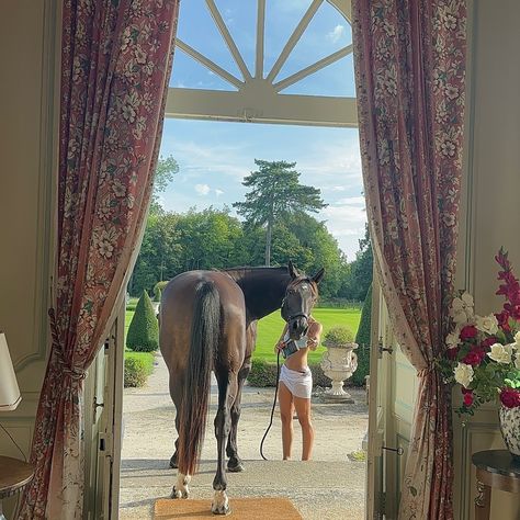 Ralph Lauren Horse Equestrian Chic, Buying A Horse, Working Equitation, Equestrian Home, Horsey Life, Buy A Horse, Equestrian Aesthetic, Equestrian Chic, Equestrian Girls