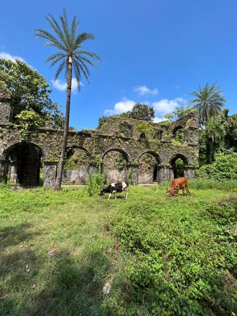 This place is located in vasai west and it’s really amazing Vasai Fort, Fort, Iphone, Quick Saves