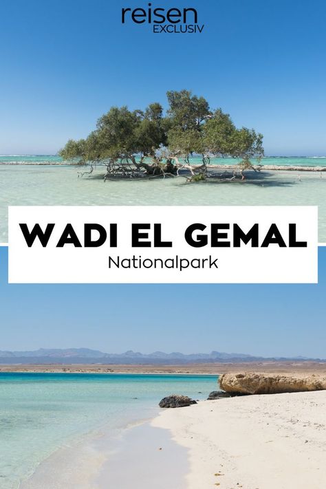 Im ägyptischen Nationalpark Wadi el Gemal lassen sich beeindruckend karge Landschaften und zugleich bunte Korallenriffe bestaunen. Er ist die Heimat der gastfreundlichen Ababda-Beduinen und unbedingt eine Reise wert. Wadi el Gemal erstreckt sich südlich von Marsa Alam am Roten Meer über eine Fläche von 4.770 Quadratkilometern. Die kargen Landschaften des drittgrößten ägyptischen Nationalparks bergen einen vielfältigen und lebendigen Naturraum. Jetzt Pin merken, zum Artikel durchklicken für mehr! Marsa Alam, Water