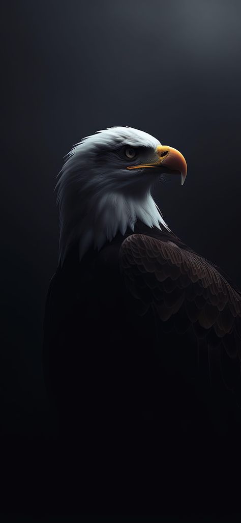 Samsung Lockscreen, Wallpapper Iphone, Bayern Munich Wallpapers, Galaxy Aesthetic, Eagle Images, Eagle Wallpaper, Amoled Wallpapers, Nature Iphone Wallpaper, Cool Pictures For Wallpaper