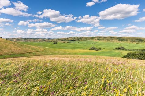 The hilly landscape of the Orenburg region, Russia Landscape References, Hilly Landscape, Scenery Background, Location Inspiration, Mother Nature, Mood Board, Russia, Fishing, Ipad