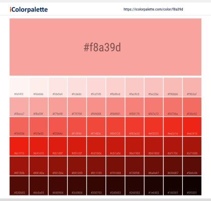 Pantone Color Book, Space Information, Pantone Red, Hexadecimal Color, Hex Color, Beige Color Palette, Orange Color Palettes, Hex Color Palette, Color Palette Challenge