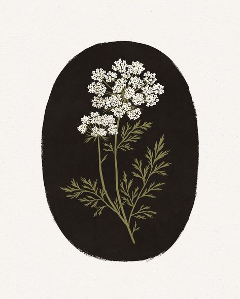 Queen Anne’s Lace 🖤 . . . . . . . . . . . #wildcarrot #queenanneslace #wildflowers #wildflower #flowerstagram #inspiredbypetals… | Instagram Queen Anne's Lace Flowers, Lace Painting, Instagram Queen, Tattoo Art Drawings, Pretty Prints, Queen Anne, Botanical Illustration, Drawing Inspiration, Nature Inspired