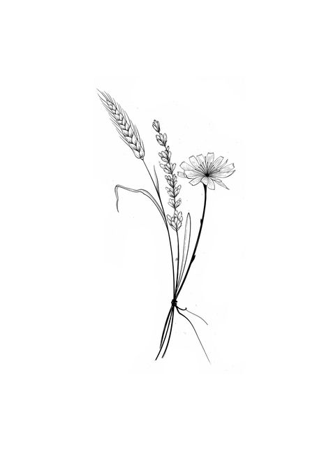 Wheat And Wildflower Tattoo, Aster Flower Tattoo Black And White, Fine Line Wheat Tattoo, Wheat Line Art, Wheat Tattoos For Women, Dried Flower Tattoo, Farm Tattoos For Women, Behind Elbow Tattoo Women, Field Tattoo