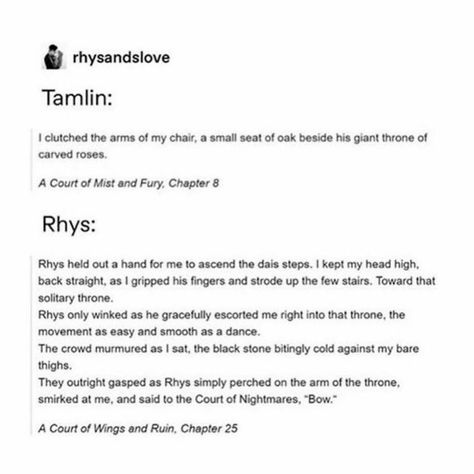 Acotar Comic Strip, Acotar Fanart Feyre And Rhysand, Acomaf Inn Scene, A Court Of Mist And Fury Quotes, Feyre Darling, Acotar Fanart, Sarah Maas, Acotar Funny, Acotar Series