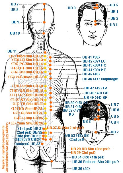 (UB) Urinary Bladder Meridian - Graphic Bladder Meridian, Punkty Spustowe, Traditional Chinese Medicine Acupuncture, Meridian Acupuncture, Acupuncture Points Chart, Urinary Bladder, Shiatsu Massage Acupressure, Acupuncture Benefits, Magnet Therapy