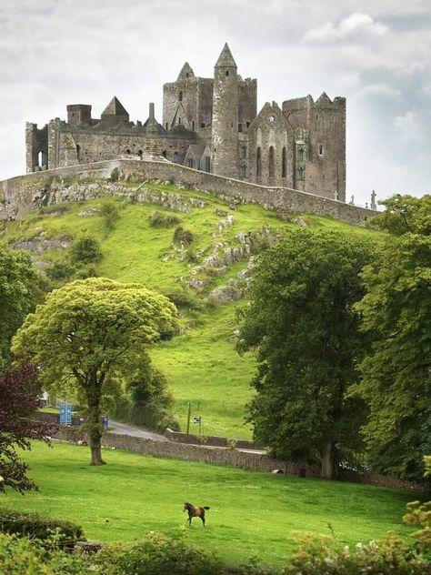 Places In Ireland, Rock Of Cashel, Tipperary Ireland, Ireland Aesthetic, Places In England, Cottage Lake, Scottish Castles, Visit Ireland, Castle Ruins