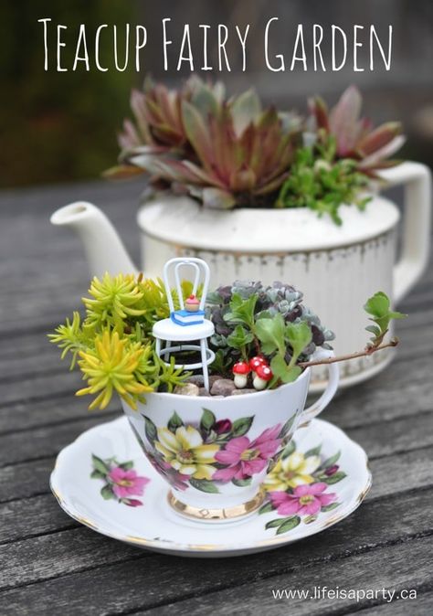 Teacup Fairy Garden -How to make the sweetest teacup fairy garden with succulents, including how to make a mini fairy-sized cupcake and book out of polymer clay. I love making any miniature fairy garden, but this teacup fairy garden might be the sweetest ever. I wanted to make my mom a sweet little gift for... Teacup Fairy Garden, Indoor Fairy Gardens, Teacup Gardens, Fairy Garden Ideas, Fairy Garden Plants, Fairy Garden Designs, Garden Ideas Cheap, Mini Fairy Garden, Tea Diy