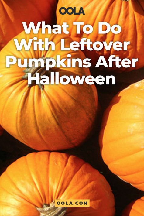 Halloween Pumpkin Recipes, Creative Pumpkin Carving Ideas, Pumpkin Pasta Sauce, Healthy Halloween Food, Kids Halloween Gifts, Pumpkin Ale, Leftover Pumpkin, Large Pumpkins, Creative Pumpkin Carving