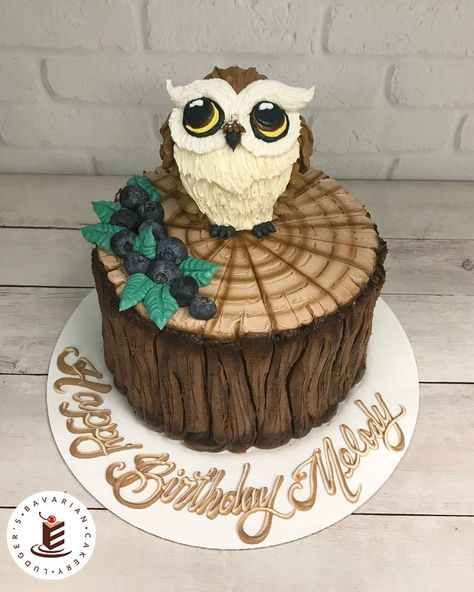 Speciality Cakes, Cake Fails, Owl Cakes, Cake Wrecks, Owl Cake, Baking Projects, Bird Cakes, Sculpted Cakes, Cake Central