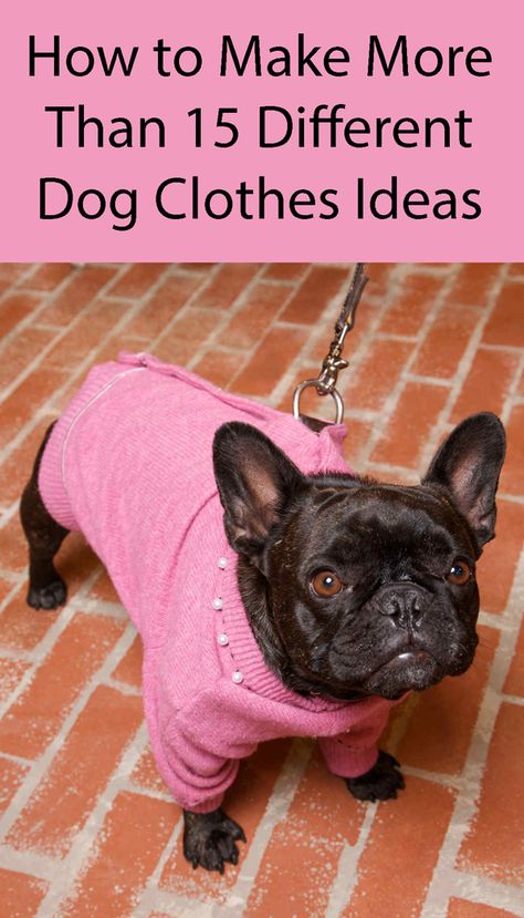 Diy Dog Clothes, Dog Clothes Patterns Sewing, Dog Coat Pattern, Dog Sewing Patterns, Coat Check, Luxury Dog Collars, Dog Clothes Diy, Designer Dog Collars, Fancy Dog