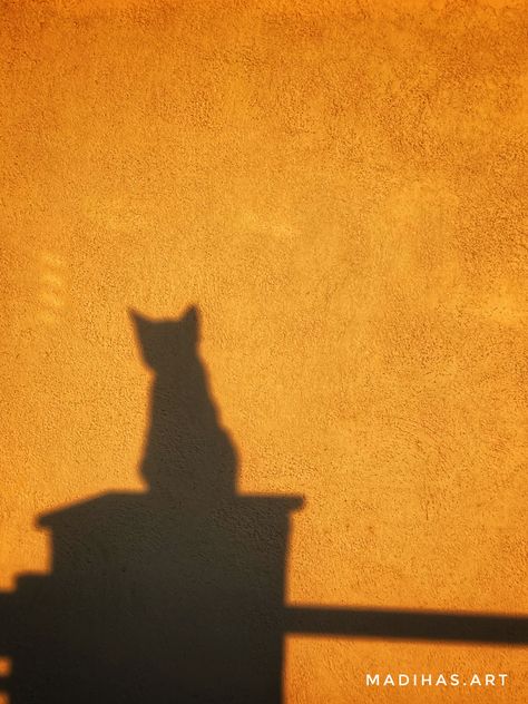 Gold Cat Aesthetic, Cat Shadow Aesthetic, Cat Yellow Aesthetic, Orange Cat Aesthetic Wallpaper, Yellow Cat Aesthetic, Feline Aesthetic, Aesthetic Shadow Pictures, Dark Yellow Aesthetic, Golden Hour Shadow