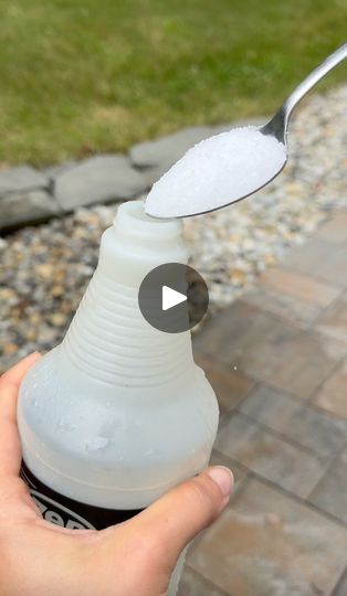 1.3K views · 32 reactions | DIY all-natural miracle grow | DIY all-natural miracle grow | By Brooklyn B | Grab a spray bottle. Fill it
with water. Get some fragrance free Epsom salt and just take
some out with a spoon and put it into your spray bottle. Once
you add a good amount, just reattach the top and give it a
shake. This will dissolve very quickly. Spray this on your new
budding plants. The magnesium and sulfur and epsom salt will
actually help with germination. This is great for little
seedlings. Miracle Grow Diy, Miracle Grow, Epsom Salt, Fragrance Free, Spray Bottle, Fragrance Free Products, Gardening Tips, All Natural, Brooklyn