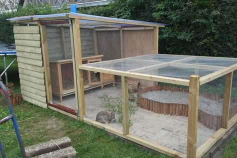 Rabbit Cages Outdoor, Rabbit Shed, Diy Rabbit Hutch, Outdoor Rabbit Hutch, Outdoor Rabbit, Rabbit Enclosure, Pet Rabbit Care, Rabbit Habitat, Bunny Hutch