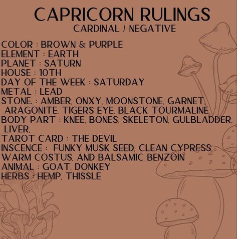 Capricorn Witchcraft, Capricorn Symbolism, Capricorn Witch, Capricorn Symbols, Capricorn Tarot Card, Capricorn + Core + Aesthetic, Capricorn Crystals, Tarot Elements, Capricorn Tarot