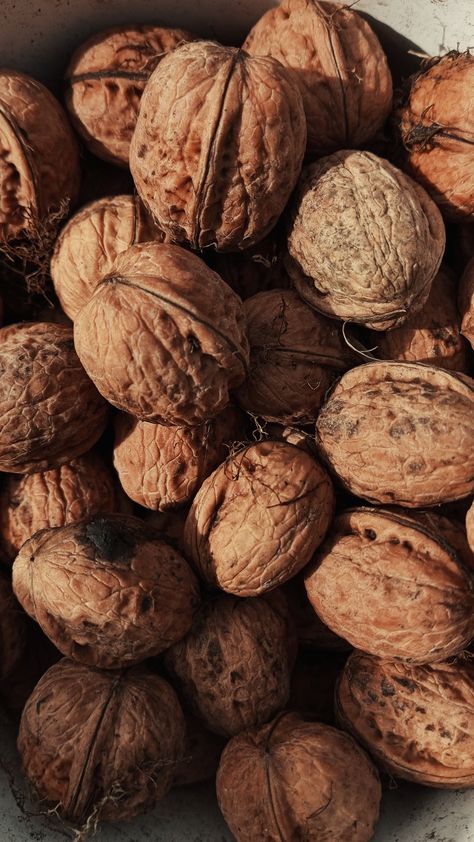 Walnut Aesthetic, Walnut Art, Glass Skin, Nuts, Peanut, Walnut, Skin, Wood, Glass