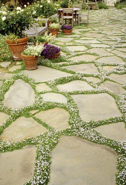 Garden Paths, Pathway Landscaping, Low Maintenance Landscaping, Low Maintenance Garden, Garden Pathway, Patio Stones, Garden Cottage, Alam Semula Jadi, Rock Garden