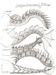 dragon tail - Google Search Dragon Tail Drawing, Dinosaur Anatomy, Above And Below Water, Dragon Anatomy, Tail Drawing, Recycled Cds, Sketch Study, Tato Lengan, Dragon Tail