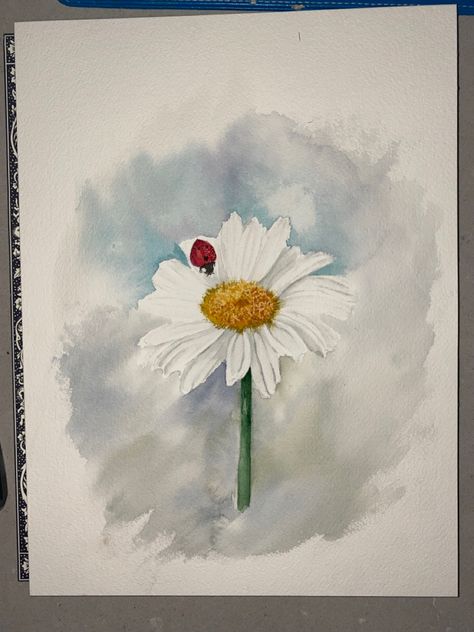 Watercolour daisy & ladybird Daisy Watercolor Painting Easy, Water Colour Daisies, Watercolour Ladybird, Daisy Flower Watercolor Painting, Watercolour Daisy, Ladybug On Flower Drawing, Watercolor Daisy, Shasta Daisies, Water Colours