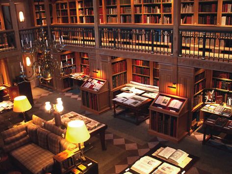 13 Libraries ‘Downton Abbey’ Fans Will Love Great Library, House Library, Library University, Private Library, Cricket Ground, Studying Library, Library Shelves, Room Library, Home Library Design