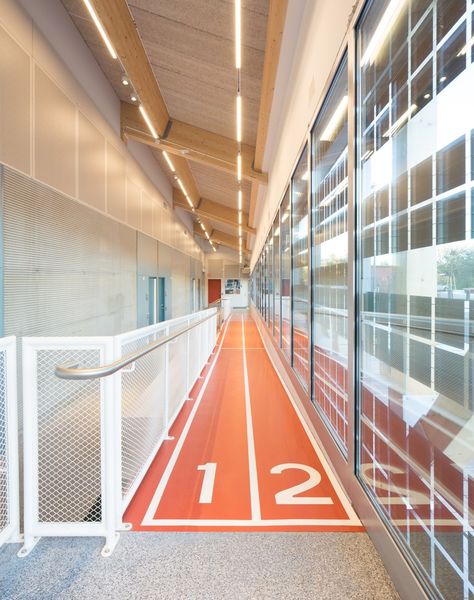 Sport Office, Gym Architecture, Sports Office, Sports Hall, Gym Interior, Running Track, Sport Hall, Sports Complex, Indoor Sports