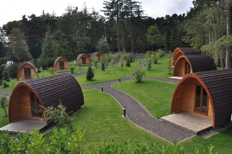 Forest Glamping, Glamping Pods, Arched Cabin, Casa Hobbit, Camping Pod, Resort Design, Hobbit House, Luxury Camping, A Frame House