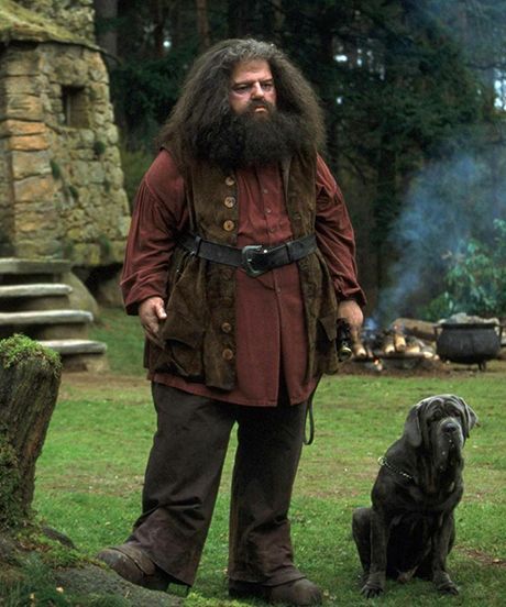 J.K. Rowling Is Getting Her Own Hagrid Hut #refinery29 Hagrid Costume, Rubeus Hagrid, Harry Potter Wall, Potter Head, Harry Potter Cosplay, Harry Potter Halloween, Images Harry Potter, The Sorcerer's Stone, Harry Potter Costume