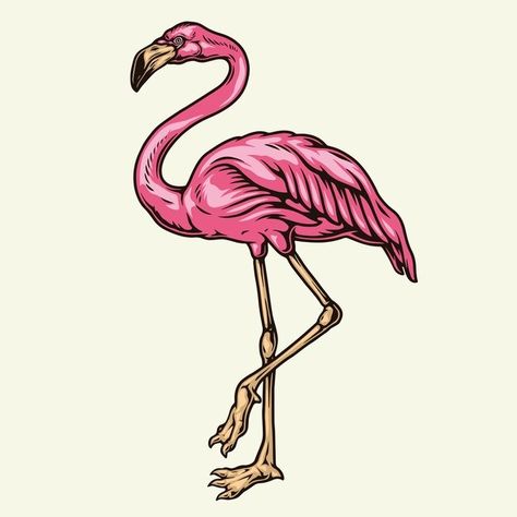 Premium Vector | Vector beautiful pink flamingo isolated Flamingo Vector, Bird Vector, Summer Party Invitations, Flamingo Bird, Flamingo Art, Nature Gif, Graphic Design Studios, Vector Artwork, Exterior Decor