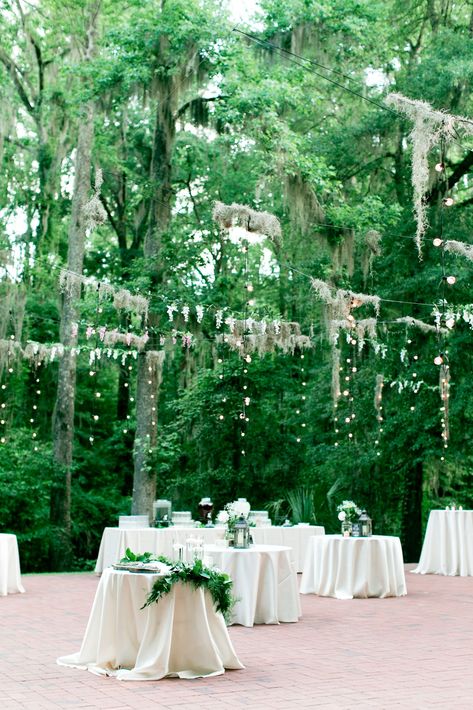 String Lights With Spanish Moss Spanish Moss Wedding, Moss Wedding Decor, Moss Wedding, Moss Decor, Romantic Outdoor Wedding, Event Favors, Outdoor Wedding Reception, Spanish Moss, Southern Wedding