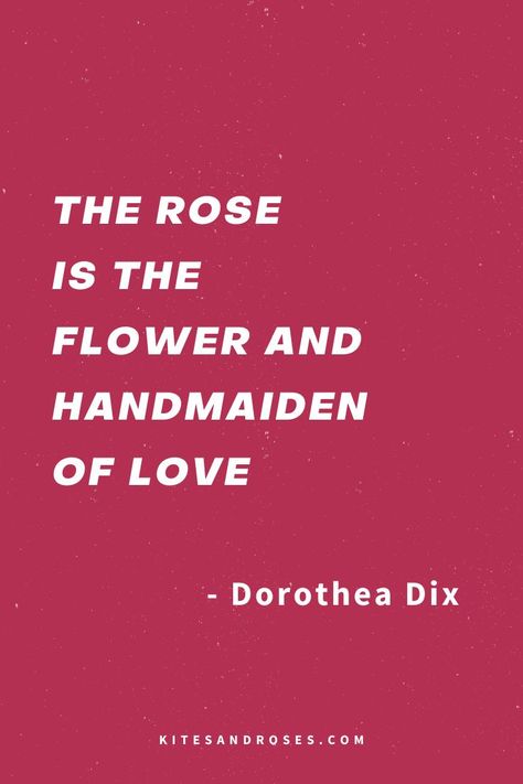 Looking for rose quotes? Here are the words and sayings about thorns, love, and life that you can share on world roses day. Rose Captions For Instagram, Rose Captions, Rose Quotes, Captions For Instagram, Kites, Short Quotes, Instagram Captions, Timeless Beauty, Roses