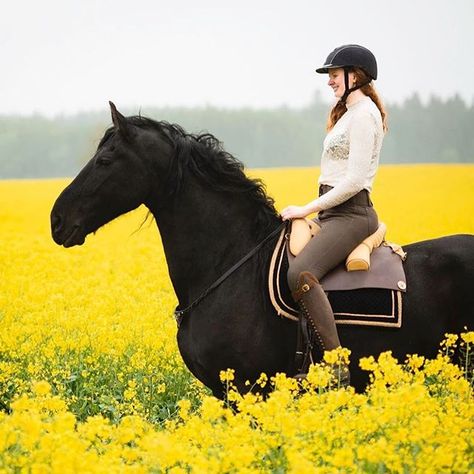 Horse Bonding, Aesthetic Horses, Dressage Coats, Riding Outfits, Friesian Horses, Equestrian Quotes, Equestrian Helmets, Horse Facts, Horse Hoodies