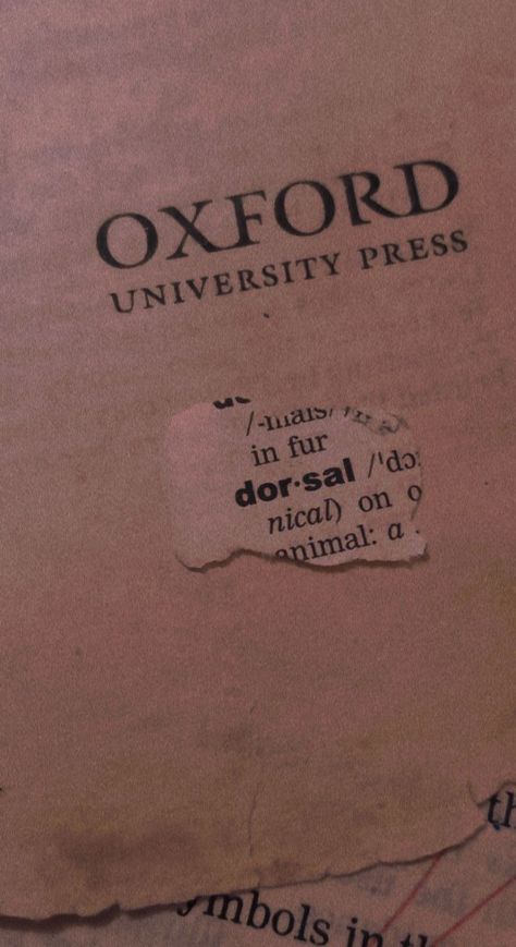 Vintage Oxford Dictionary Dictionary Aesthetic, Oxford Books, Oxford Dictionary, Vision Board Images, Cinnamon Girl, English Dictionaries, Oxford University Press, Cover Ideas, English Grammar