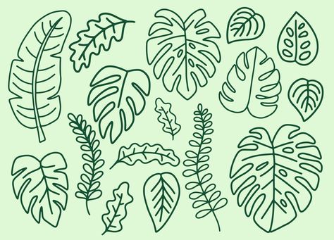 Cricut Monstera Leaf, Tropical Plant Line Art, Simple Monstera Drawing, Monstera Leaf Drawing Simple, Monstera Outline Tattoo, Green Leaf Art, Monstera Leaf Design, Simple Monstera Tattoo, Monstera Tattoo Small