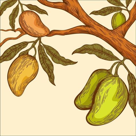 Tree Branch Illustration, Branch Illustration, Branch Drawing, Fruits Drawing, Triangle Art, Flat Design Illustration, Mango Tree, Textile Pattern Design, Good Cartoons