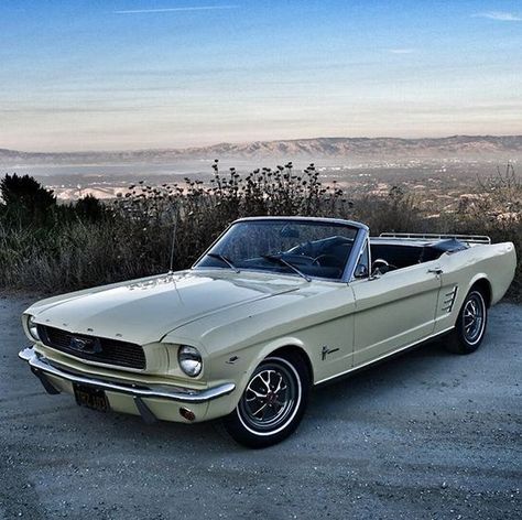 64 Mustang, 66 Ford Mustang, 66 Mustang, Vintage Mustang, Old Vintage Cars, Ford Mustang Convertible, Ford Mustang Fastback, Classic Mustang, Mustang Convertible