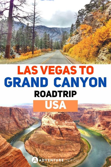 Road Trip From Las Vegas, Grand Canyon Road Trip, Road Trip Journal, Vegas Trip Planning, Grand Canyon West Rim, Grand Canyon Vacation, Desert Wildflowers, Trip Journal, Grand Canyon Tours