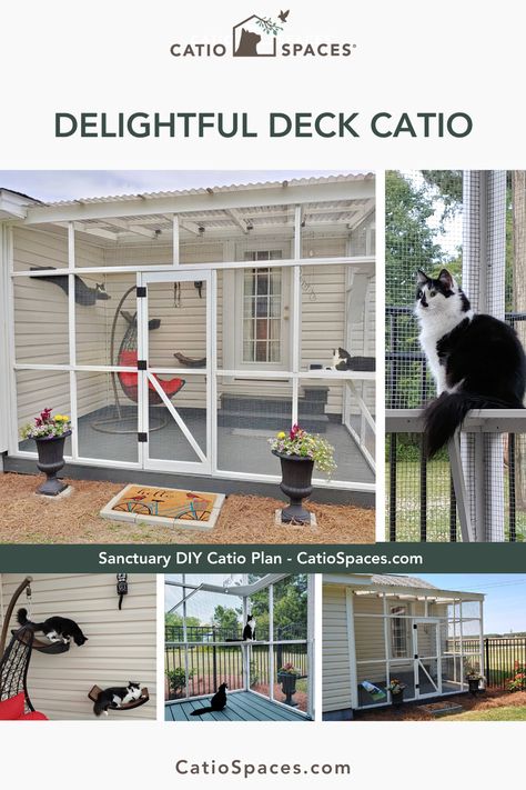 Backyard With Catio, Cat Porch Enclosure, Pvc Catio Diy Plans, Outdoor Cat Enclosure Attached To House, Simple Diy Catios, Diy Patio Enclosure Ideas, Catios For Cats Diy Small, Diy Cat Patio, Catio Plans Diy