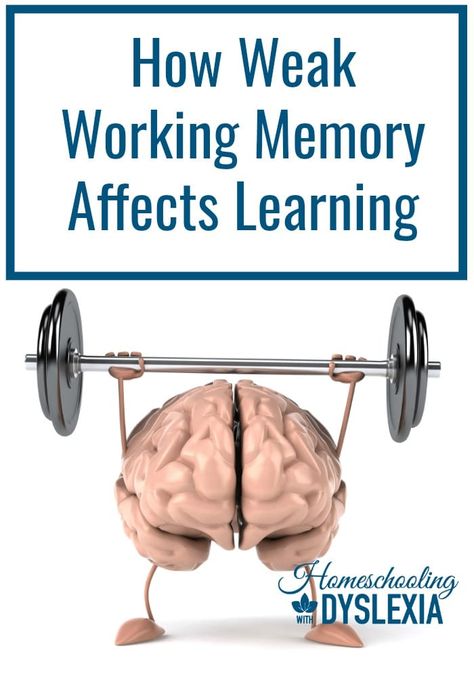 Teaching Executive Functioning, Executive Functioning Skills, Learning Differences, Working Memory, Learning Difficulties, Homeschool Encouragement, School Psychology, School Help, Learning Disabilities