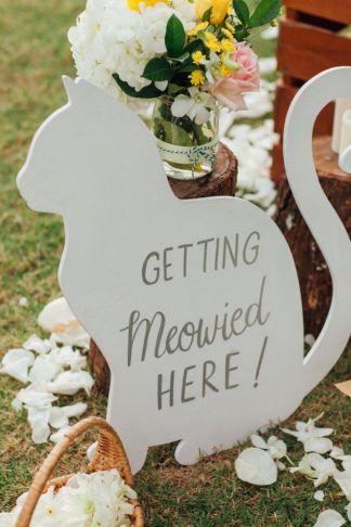 Phuket, Phuket Wedding, Cat Wedding, Destination Wedding Photos, Beach Wedding Decorations, Cute Wedding Ideas, Cat Theme, Wedding Themes, A Sign