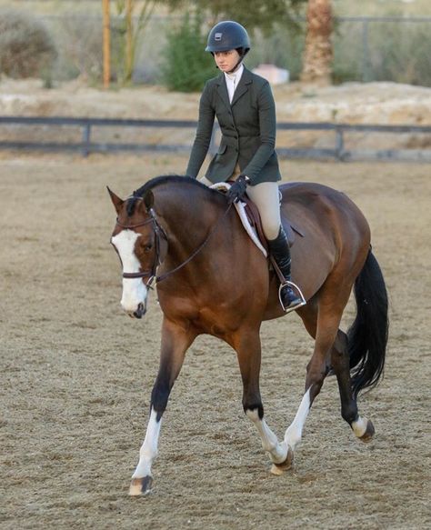 Horse Show Aesthetic, Pony Finals, Animal Composition, Hunter Under Saddle Horse, Pony Hunter Jumper, Aesthetic Horses, Hunter Jumping, English Horses, Hunter Under Saddle